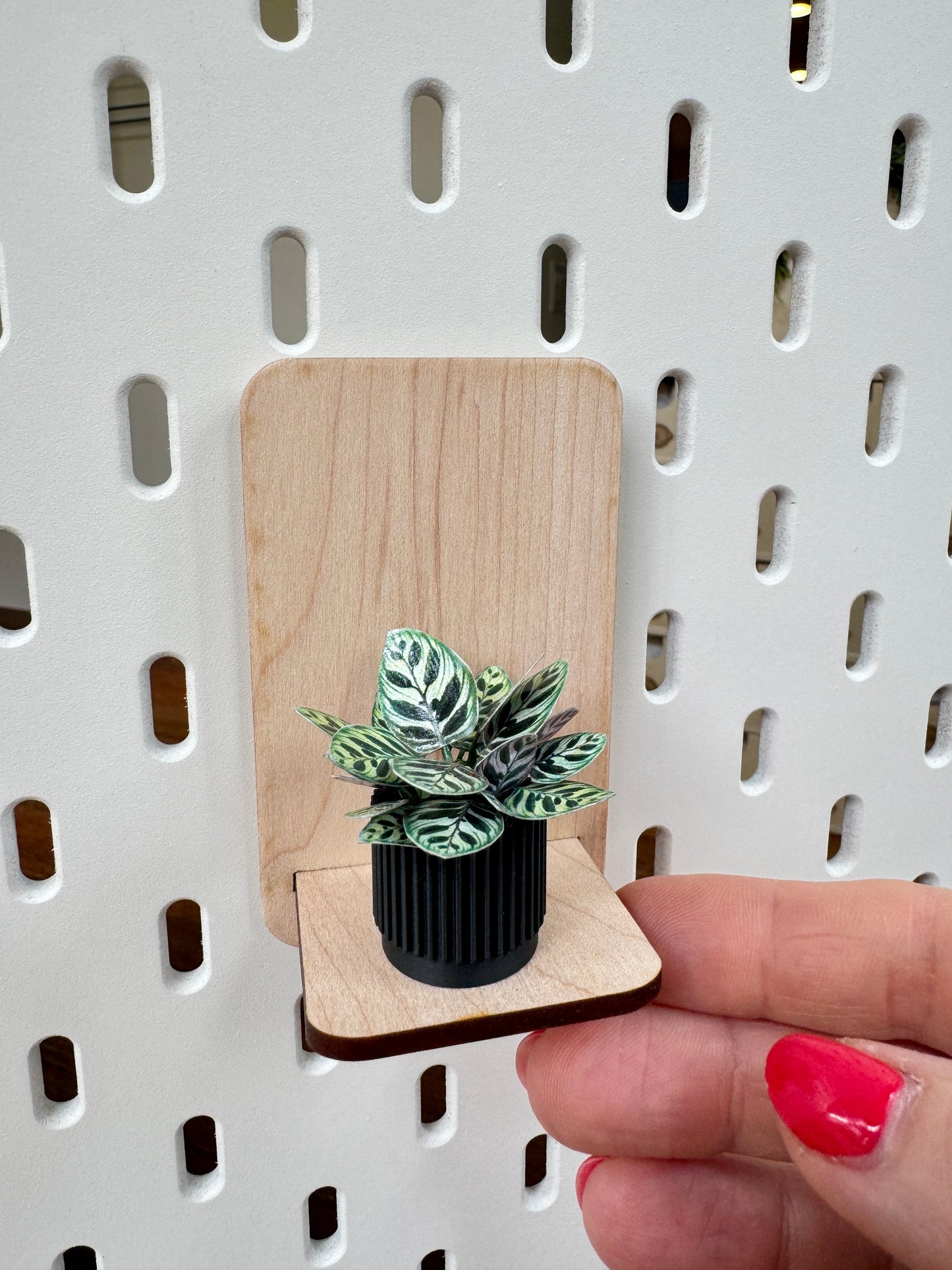 No. 01 Nook Botanical
