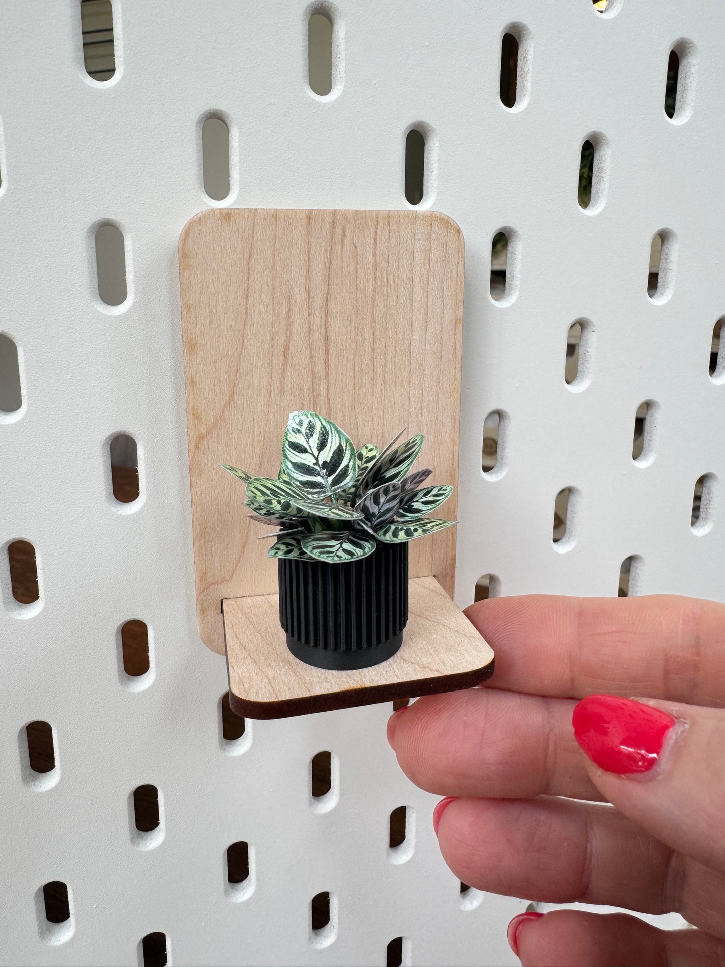 No. 01 Nook Botanical