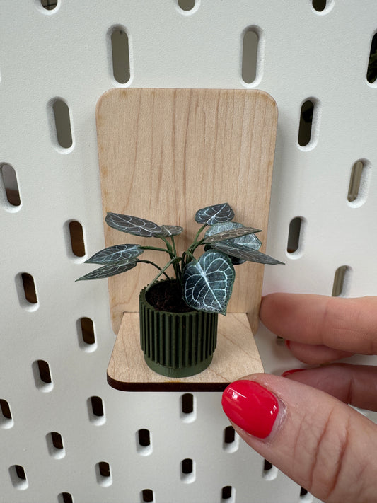 No. 02 Nook Botanical