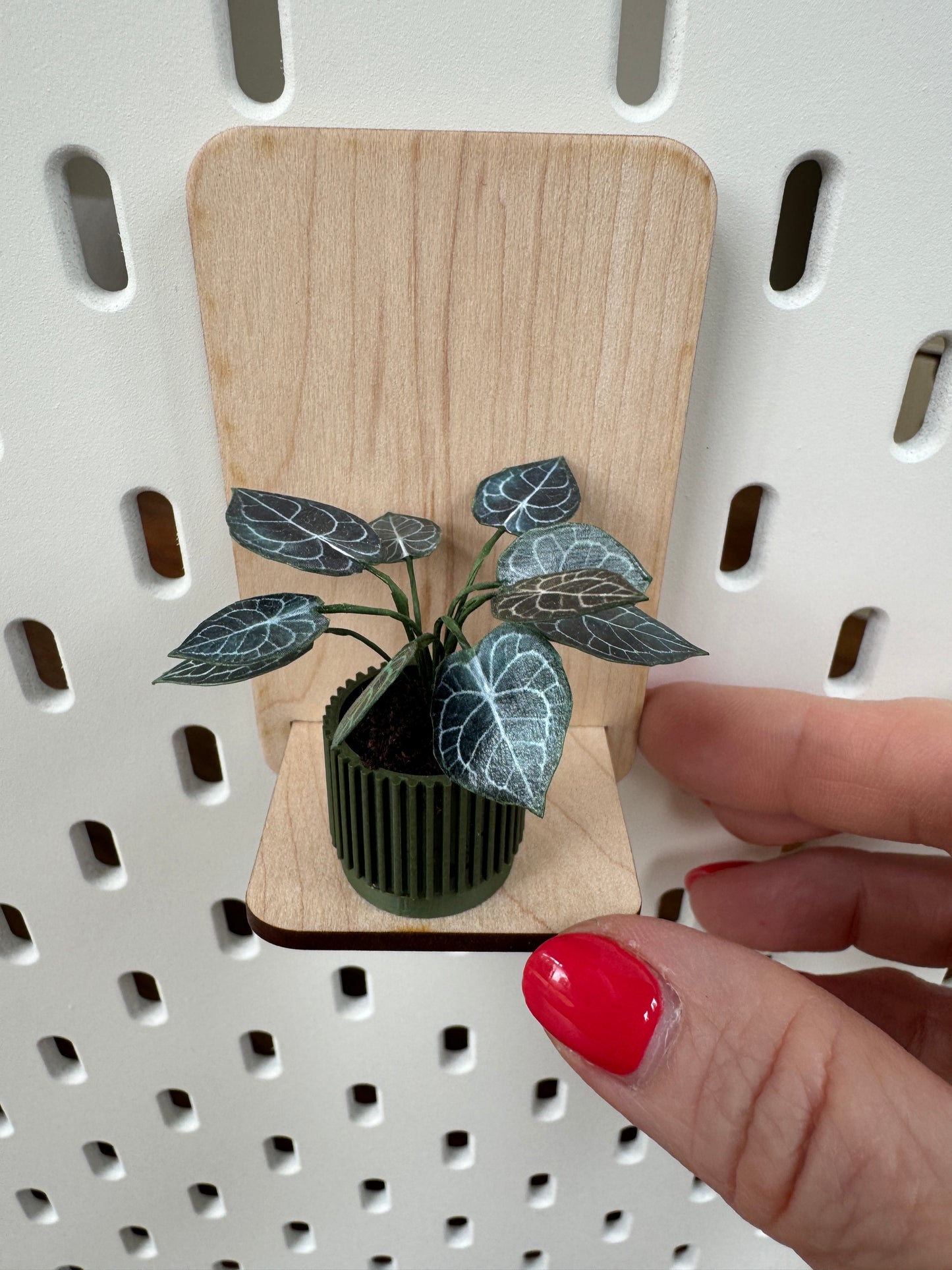 No. 02 Nook Botanical