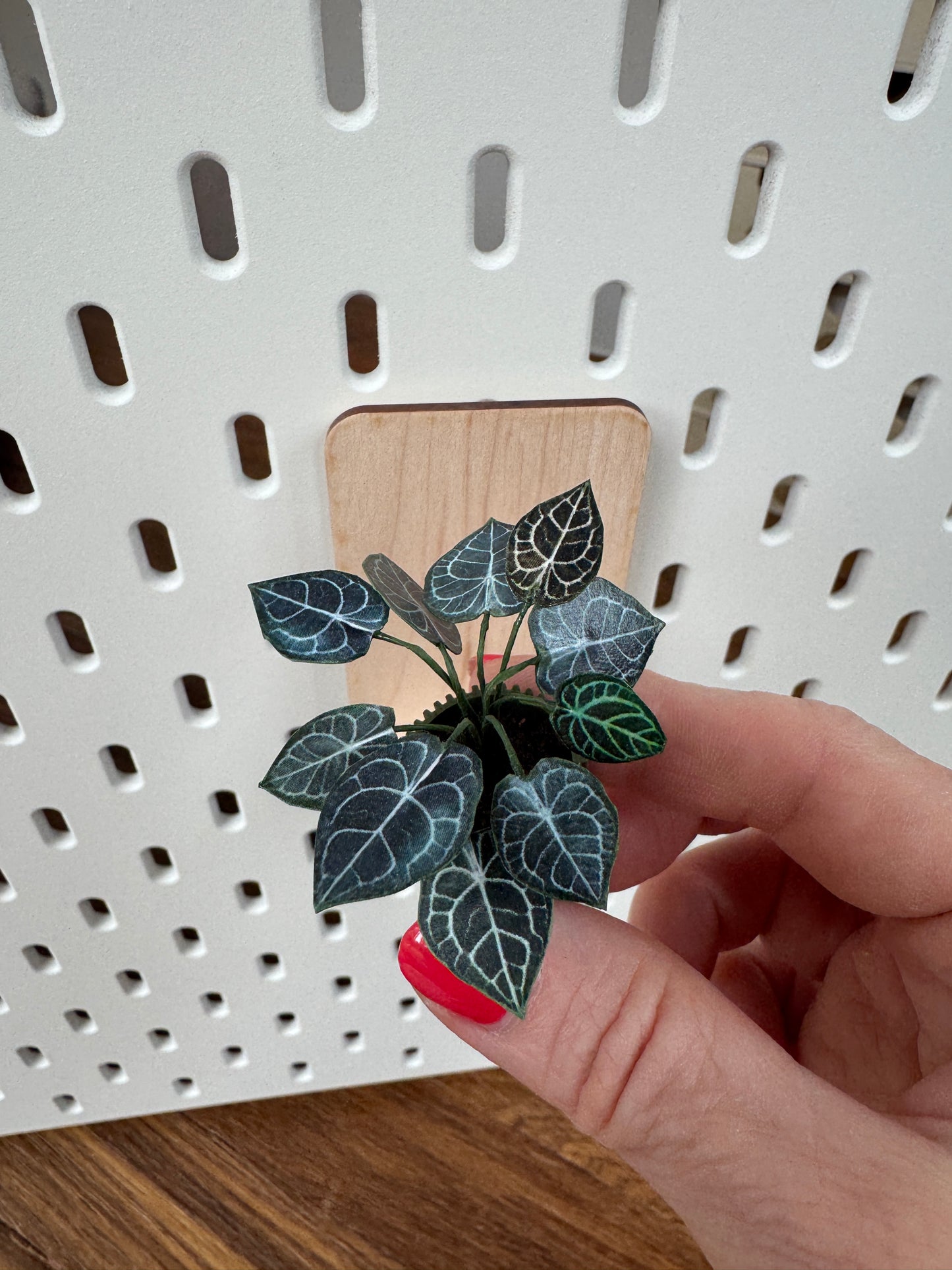 No. 02 Nook Botanical