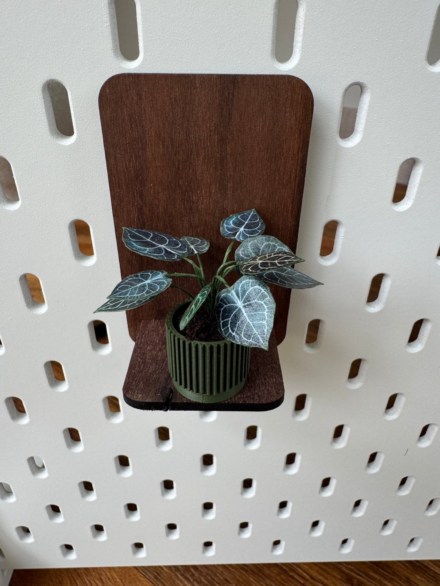No. 02 Nook Botanical
