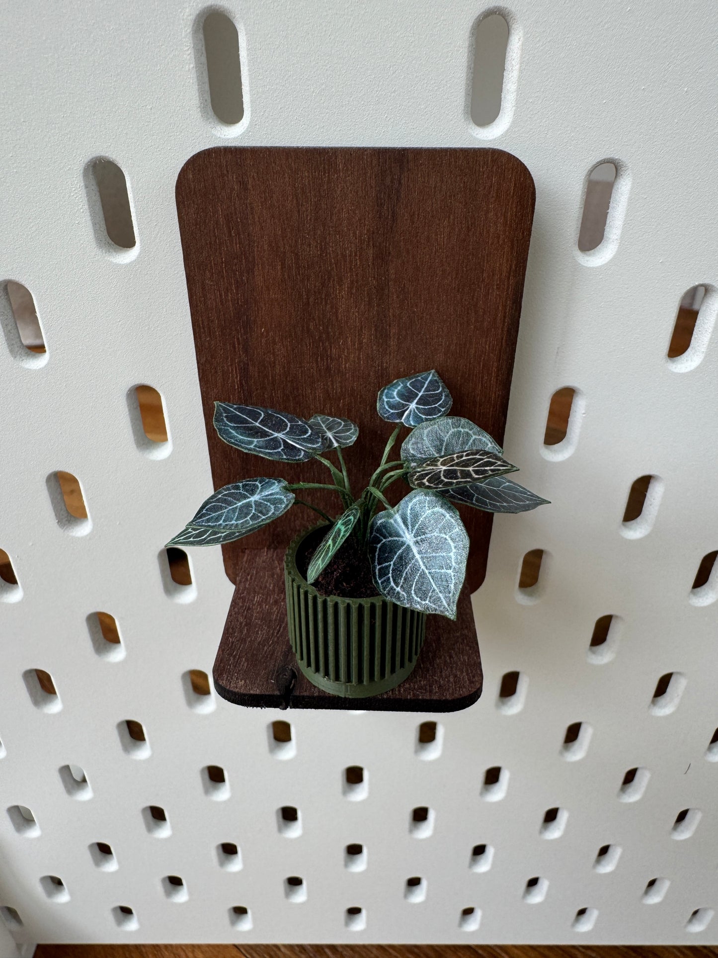 No. 02 Nook Botanical