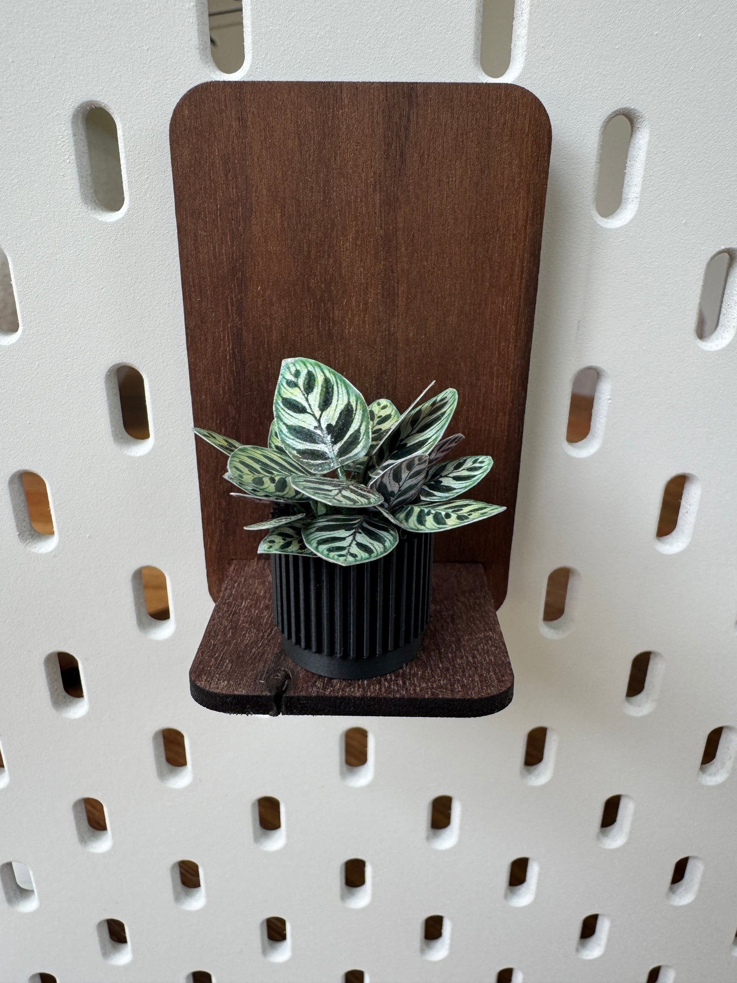 No. 01 Nook Botanical