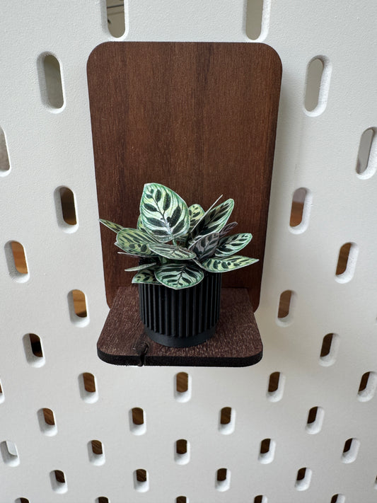 No. 01 Nook Botanical