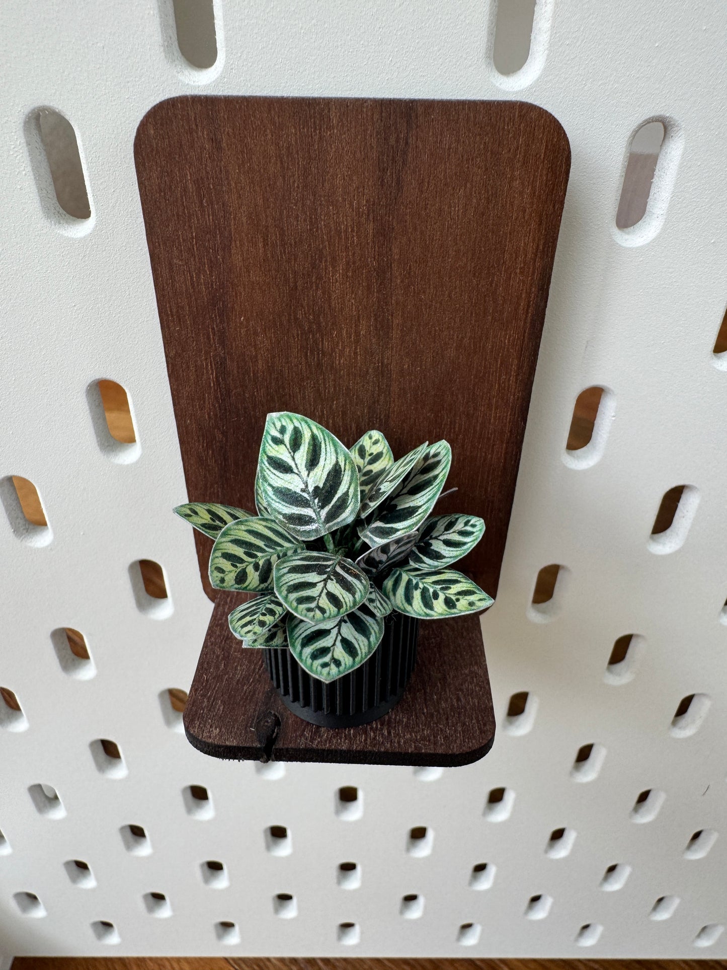 No. 01 Nook Botanical